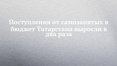 Поступления от самозанятых в бюджет Татарстана выросли в два раза