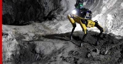 Для обследования пещер Марса могут отправить собак-роботов - profile.ru