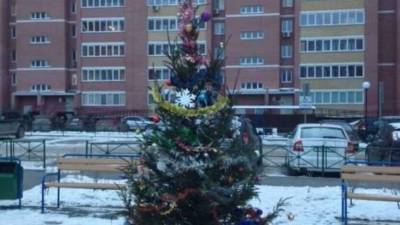 В Тюмени на Амурской и Кремлевской пройдет открытие новогодних елок
