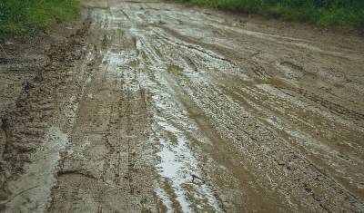 Откуда на тюменских дорогах берется грязь
