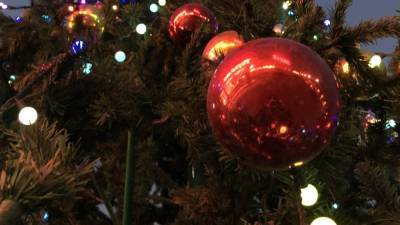 Россиянам назвали новые требования к установке новогодней елки