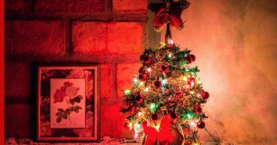 В России с 1 января изменятся правила по установке новогодней елки
