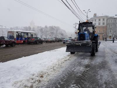 Синоптики упорно предсказывают снегопады в Воронеже