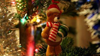 Новые требования к установке новогодней елки вступят в силу с 1 января