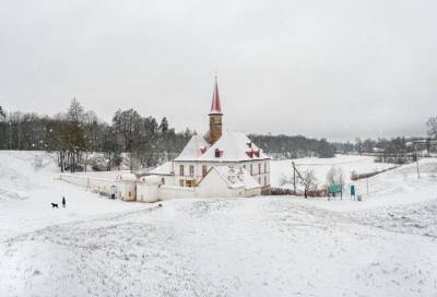 Белая Гатчина: фотограф показал Приоратский дворец под снегом