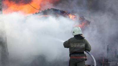 Хозяин дома сгорел с гостями при пожаре под Саратовом
