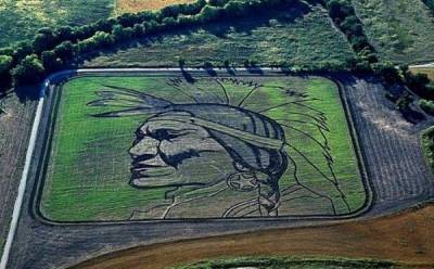 Шедевры на полях: художник рисует монументальные картины трактором