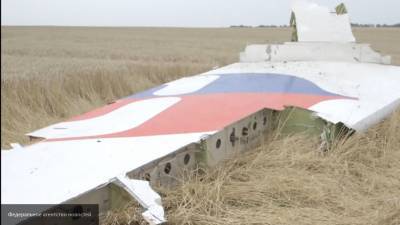 В деле MH17 появился неожиданный свидетель, обличивший вину Украины