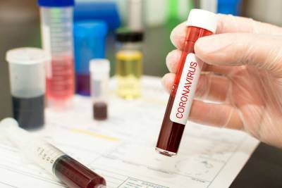 В Ленобласти за последние сутки от коронавируса вылечились более 200 человек