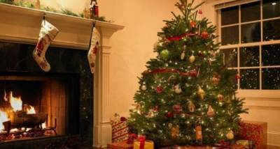 В России с 1 января вступят в силу новые правила установки новогодней елки