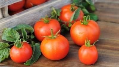 Как сохранить свежие помидоры до зимы?