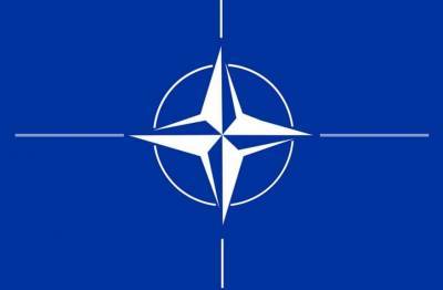 Военный аналитик Ahval: НАТО может потерять мощного союзника в виде Турции