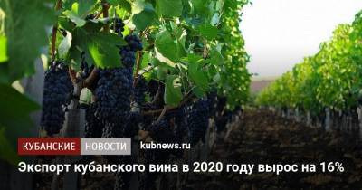 Экспорт кубанского вина в 2020 году вырос на 16%