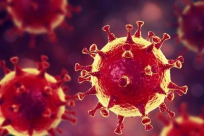 В ЮАР обнаружили новый опасный штамм коронавируса