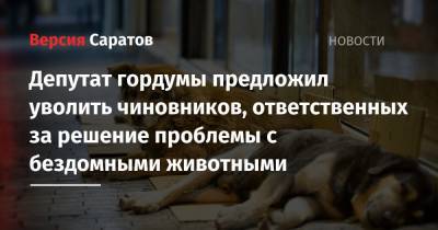 Депутат гордумы предложил уволить чиновников, ответственных за решение проблемы с бездомными животными