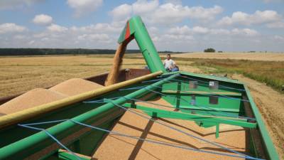 Россия собрала второй по величине урожай зерна в истории