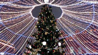 Новые правила установки новогодней елки вступят в силу с 1 января