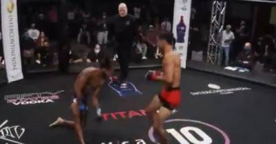 Свалился, как подкошенный: боец MMA вырубил соперника мощнейшим левым в челюсть (видео)
