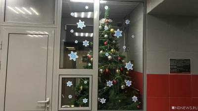 В России меняют требования к установке новогодней елки