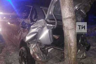 В Татарстане из-за гололеда авто врезалось в дерево, водитель в больнице