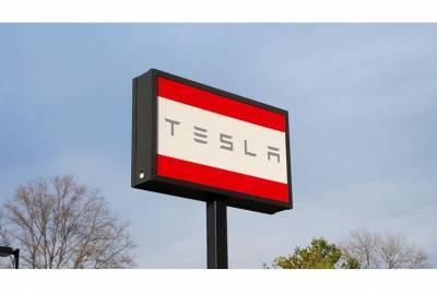 Защитники природы добились ограничений для строительства завода Tesla