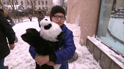 Путин исполнил мечту 10-летнего Саши, мечтавшего обнять панду