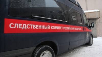 Следователи раскрыли ужасающие подробности убийства семьи Меркушиных в Омске