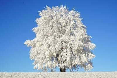 До - 31 градуса ожидается в Татарстане 20 декабря
