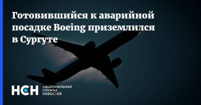 Готовившийся к аварийной посадке Boeing приземлился в Сургуте