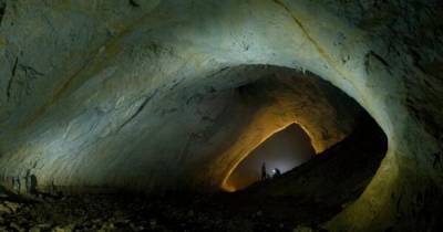 Ученые нашли в "адской" пещере Румынии новый вид ядовитой сколопендры