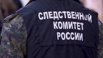 СК раскрыл подробности жестокого убийства матери с дочкой в Омске