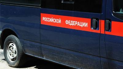 Ростовчанина заподозрили в систематических избиениях 3-летнего пасынка