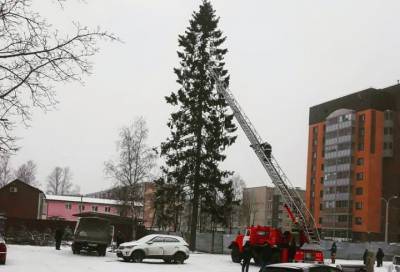 Пожарные помогли украсить к Новому году высокую ёлку в Кировске