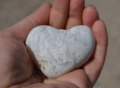 Во Франции в свинцовой гробнице найдено забальзамированное сердце