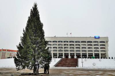 На площади у здания администрации Владимирской области установили 18-метровую новогоднюю ель