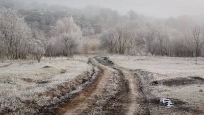 Климатологи опасаются страшных последствий бесснежной зимы