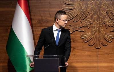 Глава МИД Венгрии просит ОБСЕ направить миссию на Закарпатье из-за обысков