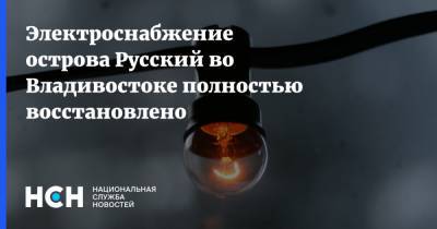 Электроснабжение острова Русский во Владивостоке полностью восстановлено