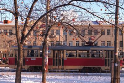В Екатеринбурге сквер напротив дома поэта Бориса Рыжего украсили мандаринами