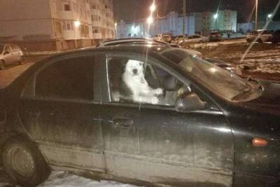 Полиция нашла хозяина собаки, запертой в машине.