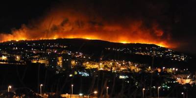 Пожар на горе Кармель: вопросы, оставшиеся без ответов