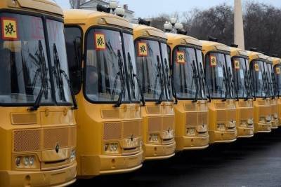 В Белгородской области закупят школьные автобусы на 250 млн рублей из средств бюджета