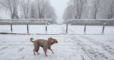 Снег и гололед: прогноз погоды в Украине на вторник, 2 декабря