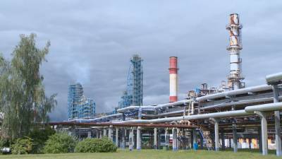 Развитие нефтехимической отрасли Беларуси на 10 лет обсудили в Совмине