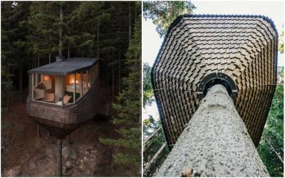 В Норвегии открылся эко-отель, номера которого «обнимают» огромные сосны