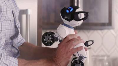 Робот-собака CHIP: домашний любимец с искусственным интеллектом