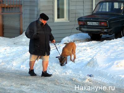Россияне снимают тревоги и страхи во время эпидемии с помощью пива, печенек, собак и родственников