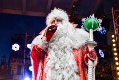 В Госдуме предложили провести онлайн-встречу детей с Дедом Морозом