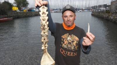 Британец во время отлива нашел в бухте останки «русалки»