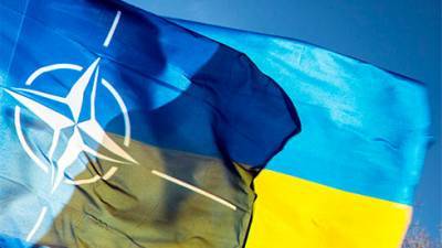 Минобороны Украины впервые провело закупку военных товаров через агентство НАТО